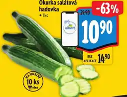 Albert Okurka salátová hadovka nabídka