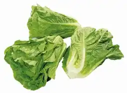 Billa Salát římský 1 ks nabídka