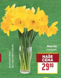 Billa Narcis 1 svazek nabídka