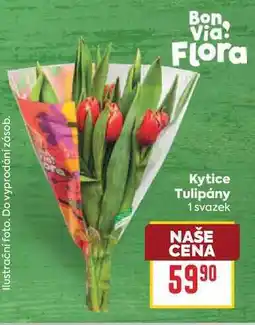 Billa Flora Kytice Tulipány 1 svazek nabídka
