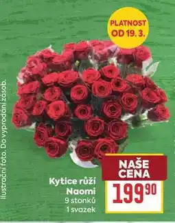Billa Kytice růží Naomi 9 stonků 1 svazek nabídka