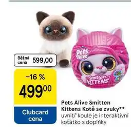 Tesco Pets Alive Smitten Kittens Kotě se zvuky, uvnitř koule je interaktivní koťátko s doplňky nabídka