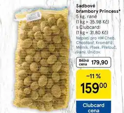 Tesco Sadbové brambory Princess, 5 kg, rané nabídka
