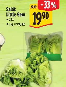 Albert Salát Little Gem nabídka