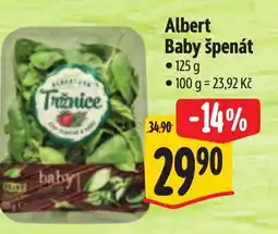 Albert Albert Baby špenát nabídka