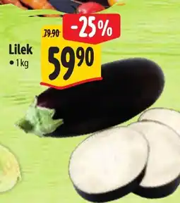 Albert Lilek nabídka