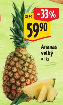 Albert Ananas velký nabídka