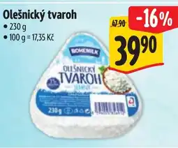 Albert Olešnický tvaroh nabídka