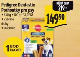 Albert Pedigree Dentastix Pochoutky pro psy nabídka
