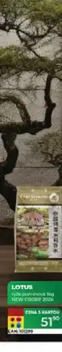 Tamda Foods Lotus rýže jasmínová nabídka