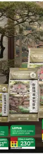 Tamda Foods Lotus jasmínová rýže nabídka