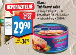 Albert Giana Tuňákový salát nabídka