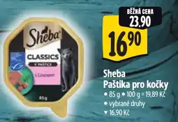Albert Sheba Paštika pro kočky nabídka