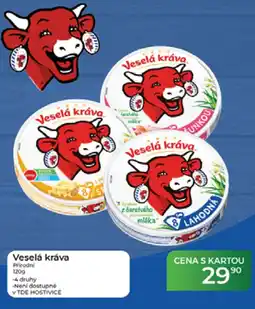 Tamda Foods Veselá kráva nabídka