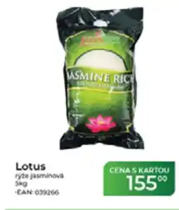 Tamda Foods Lotus ryze jasminova nabídka