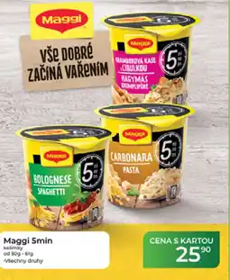Tamda Foods Maggi 5min kelímky nabídka