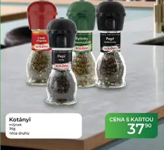 Tamda Foods Kotányi mlýnek nabídka