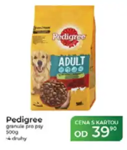 Tamda Foods Pedigree granule pro psy nabídka
