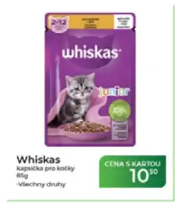Tamda Foods Whiskas kapsička pro kočky nabídka