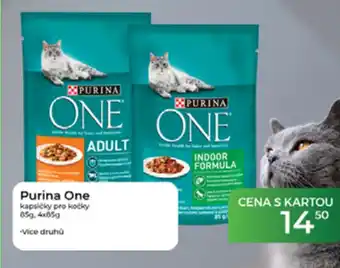 Tamda Foods Purina One kapsičky pro kočky nabídka