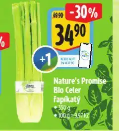 Albert Bio celer řapíkatý nabídka