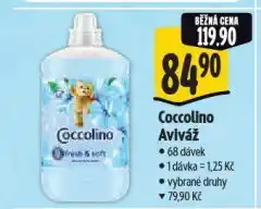 Albert Coccolino aviváž nabídka