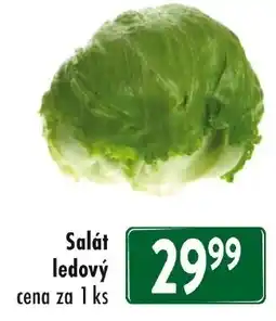 Qanto Salát ledový nabídka