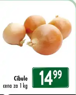 Qanto Cibule nabídka