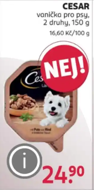 Rossmann CESAR vanička pro psy nabídka