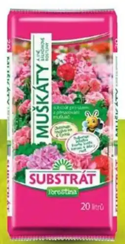 Globus Substrát pro muškáty a jiné balkonové rostliny nabídka
