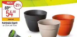 Globus Květináče Esprit nabídka