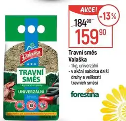 Globus Travní směs Valaška nabídka
