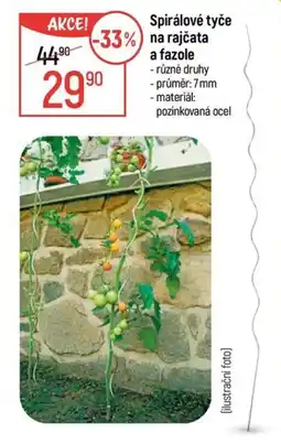 Globus Spirálové tyče na rajčata a fazole nabídka