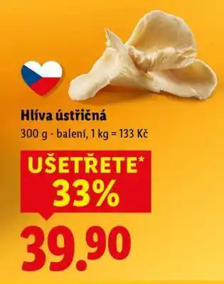 Lidl Hlíva ústřičná nabídka