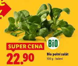 Lidl BIO POLNÍ SALÁT nabídka