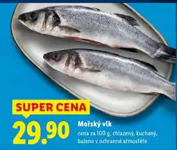 Lidl Mořský vlk nabídka
