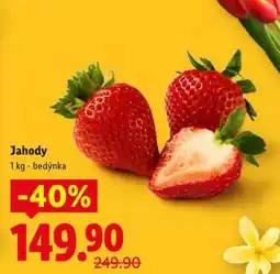 Lidl Jahody nabídka