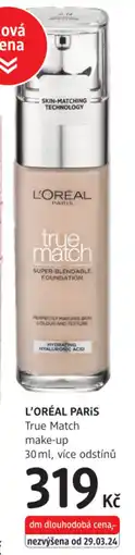 dm drogerie L'ORÉAL PARIS True Match make-up nabídka