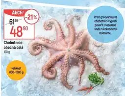 Globus Chobotnice obecná celá nabídka