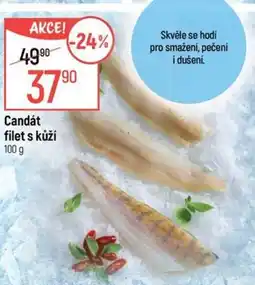 Globus Candát filet s kůží nabídka