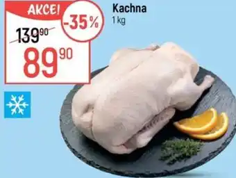 Globus Kachna nabídka