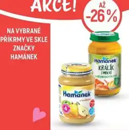 Globus Na vybrané příkrmy ve skle značky Hamánek nabídka