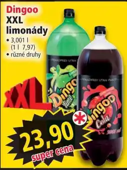 Norma Dingoo XXL limonády nabídka