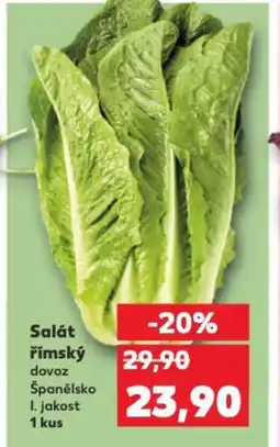 Kaufland Salát římský nabídka