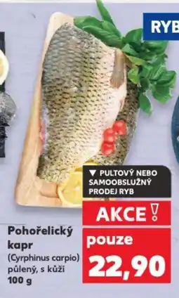 Kaufland Pohořelický kapr nabídka