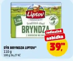 Penny Market Sýr bryndza liptov nabídka