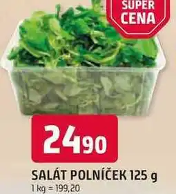 Trefa SALÁT POLNÍČEK nabídka