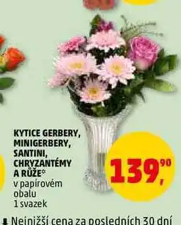 Penny Market KYTICE GERBERY, MINIGERBERY, SANTINI, CHRYZANTÉMY A RŮŽE, 1 svazek nabídka