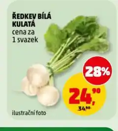 Penny Market Ředkev bílá nabídka