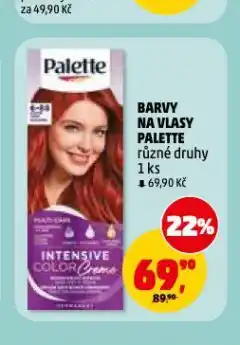 Penny Market Palette barva na vlasy nabídka